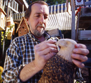 Smoky Mountain Harvest Festival in Gatlinburg