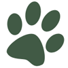 Pet friendly cabin rentals in Gatlinburg TN