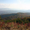 The Great Smokey Mountains National Park