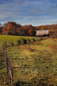 Barn-Scene-007--2009
