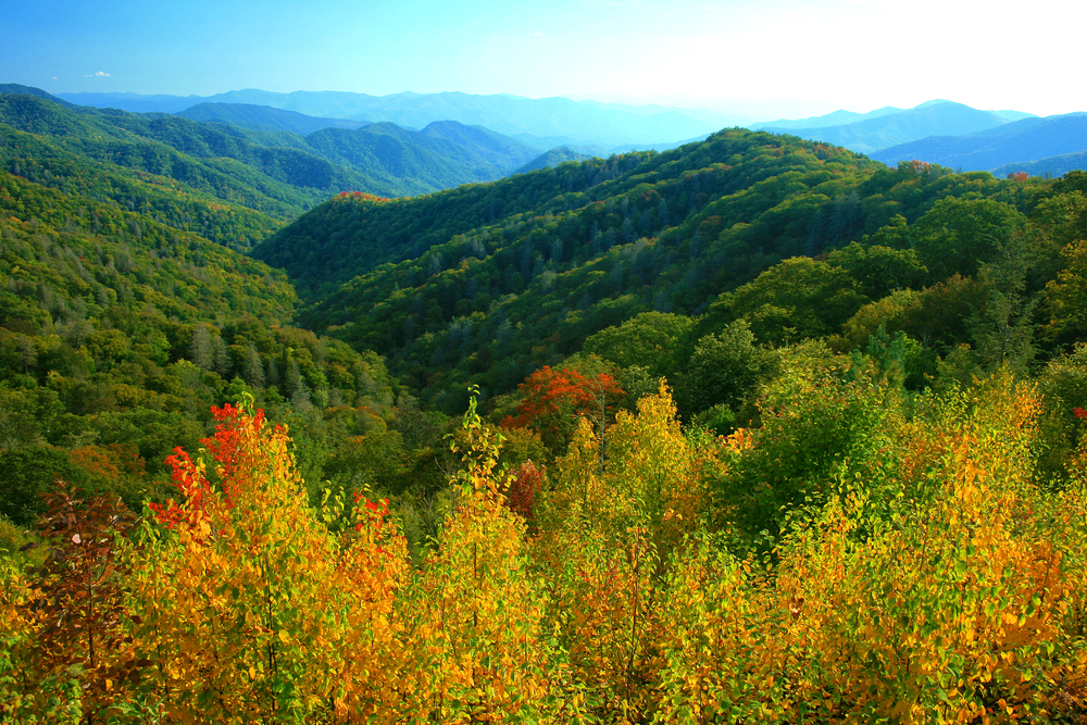 Fall colors in the Smoky Mountains