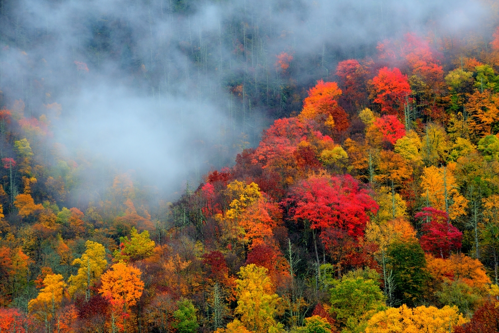 Gatlinburg Fall Foliage Report Mid October Inside Gatlinburg TN Gatlinburg Fall Foliage Report Mid October Inside Gatlinburg TN