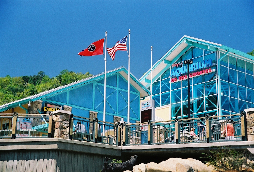 Ripley's Aquarium of the Smokies, one of the top Gatlinburg points of interest.