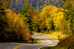 Road winding through the Smoky Mounatins