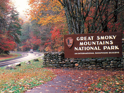 National Park Visits Up in 2012