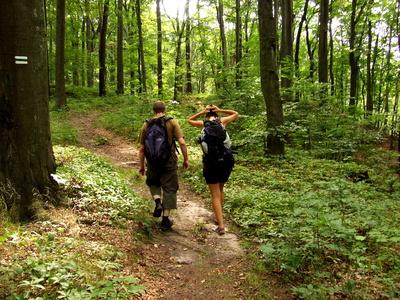 Get Outdoors in Gatlinburg!