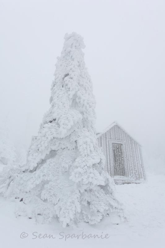 Mount LeConte Sees Record October
