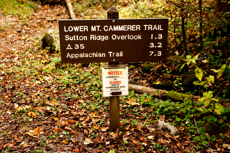BEST Hiking Trails in the Smokies