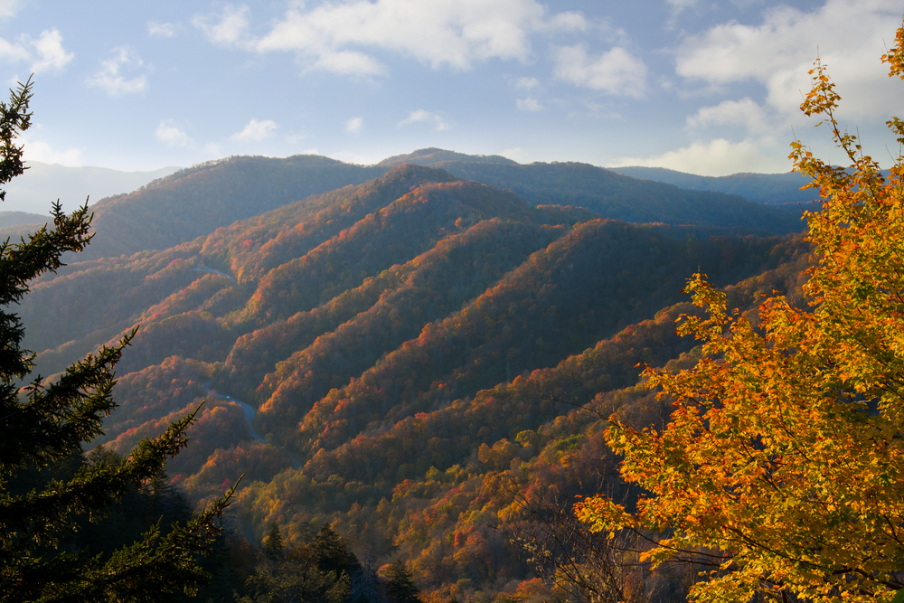 3 Things You Can See from a Gatlinburg Webcam